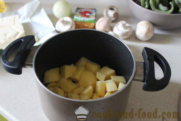 Gobova juha s sirom - kako kuhati sir juha z gobami prav hitro okusne, s korak za korakom receptov fotografije