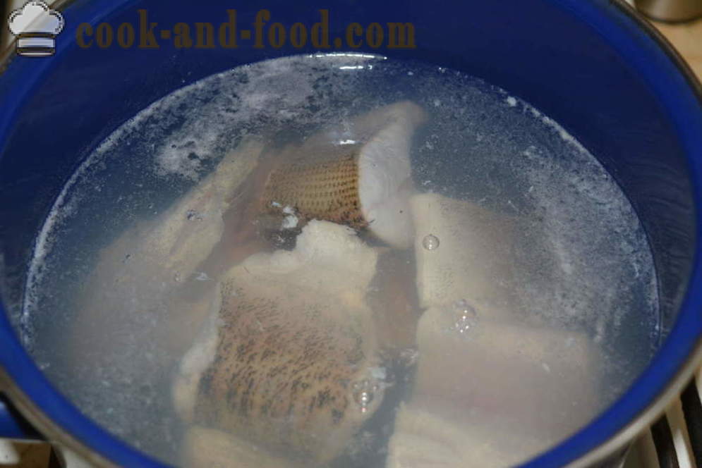 Okusna juha iz ščuke v domu - kako kuhati ribjo juho iz pike, korak za korakom receptov fotografije