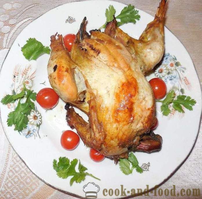 Wild Fazan pečen v pečici - kot okusno kuhati fazana v domu, recept s fotografijo