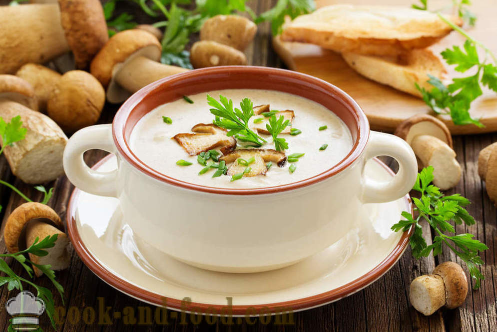 Bela gobova juha: dve recepti za okusne jedi