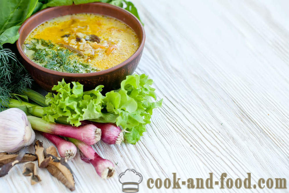 Priprava nenavadne jedi: juho z grahom in gobami - video recepti doma