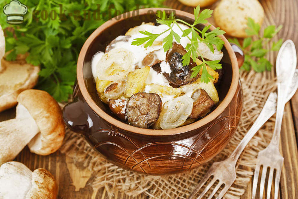 Krompir Recept z gobami, dušena v lonec